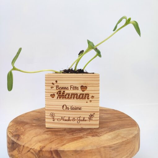 cube en bois à planter avec graine de tournesol