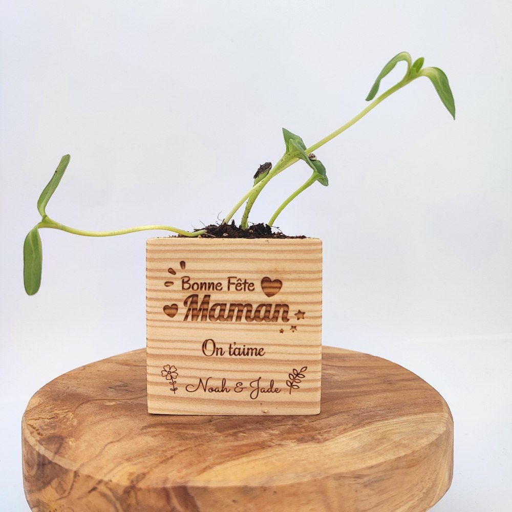 EcoCube avec graines de plantes gravé pour remercier la maîtresse
